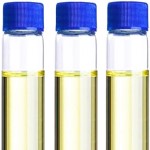 Avocado Oil or Persea Gratissima Oil Manufacturer Supplier Exporter