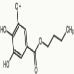 Butyl Gallate Manufacturer Supplier Exporter