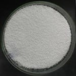 Micro-encapsulated Sodium Butyrate Manufacturer Supplier Exporter