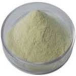 Xanthan Gum Manufacturer Supplier Exporter